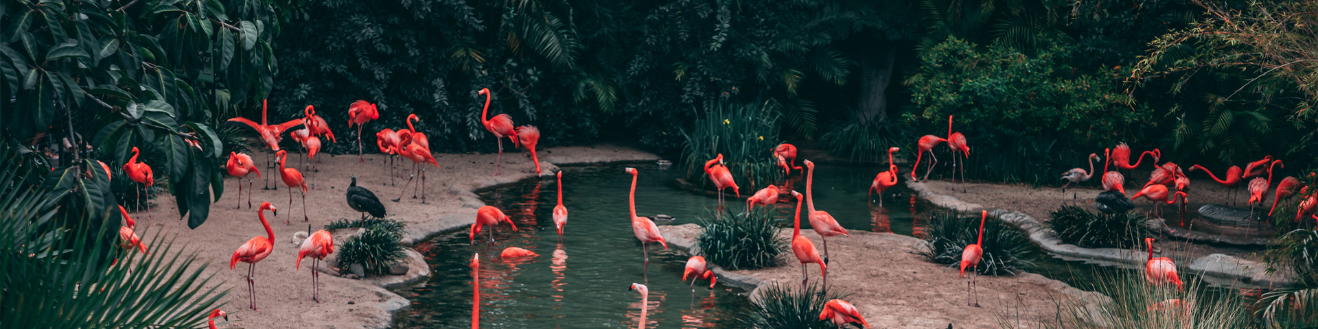 湖北盛都国际旅行社有限公司驻马店泌阳营业部